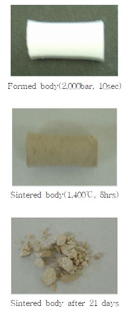 Fig. 3.2.4.6 Formed and sintered bodies of reaction production from BaCO3 and SnO2.