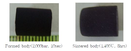 Fig. 3.2.4.7. Formed and sintered bodies for SrRuO3 with 3mol% CaSiO3.