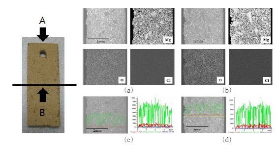 Fig. 3.4.1.9 SEM images ((a) section A, (b) section B) and element analyses ((C) section A, (d) section B) results of SR004-B.