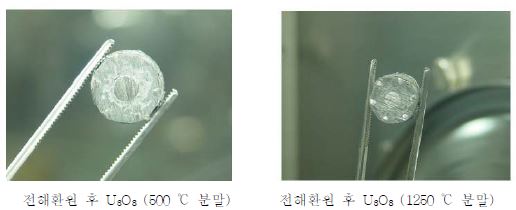 Fig. 3.1.2.15 Photographs of the reduced powder in a 1wt% Li2O/LiCl molten salt.