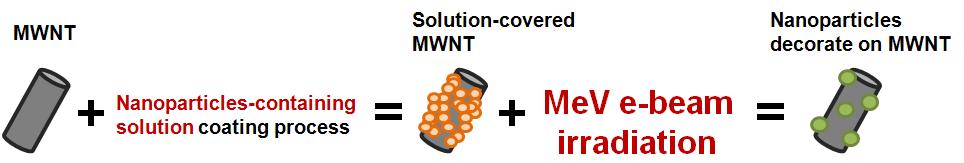 Schematic diagram of mechanism of nanoparticles decorated on MWNT by MeV e-beam irradiation