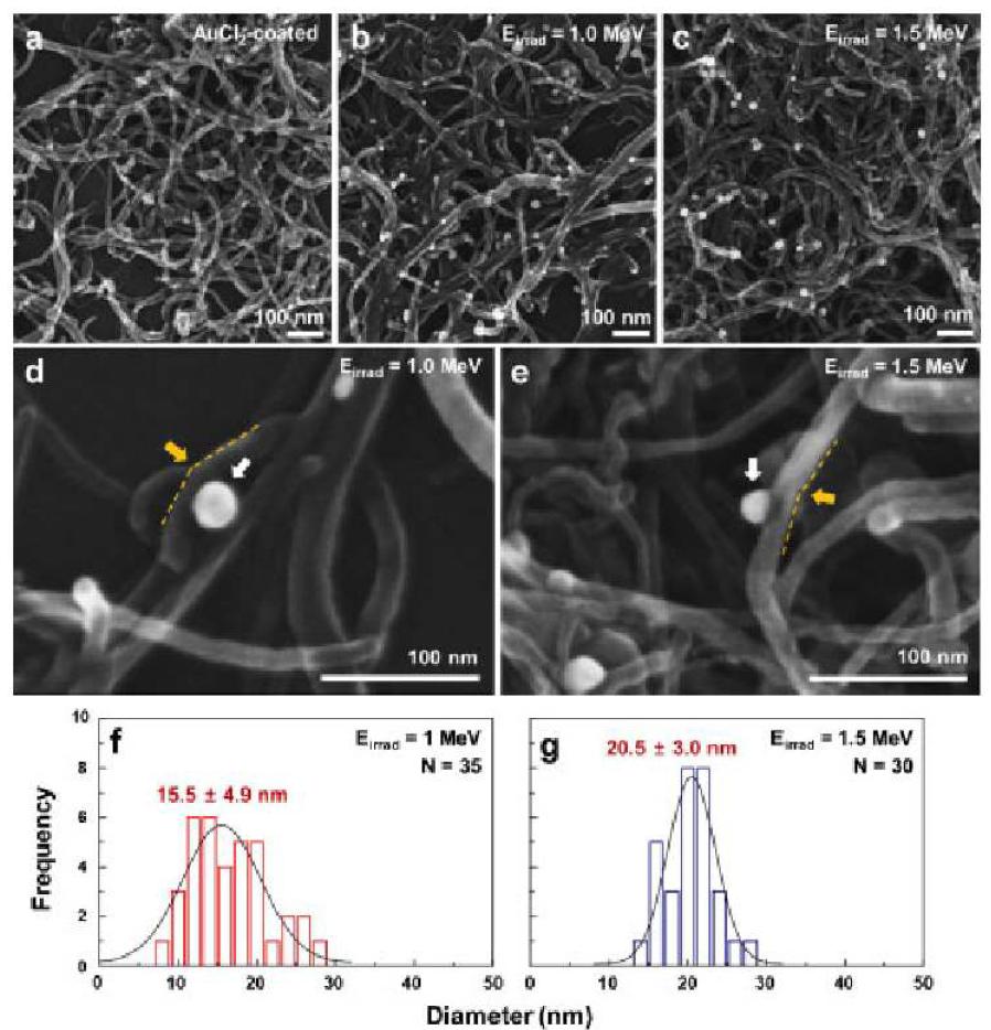 SEM images of AuCl2-coated MWCNTs (a) before and after MEBI with (b, d) Eirrad = 1.0 MeV and (c, e) Eirrad = 1.5 MeV.