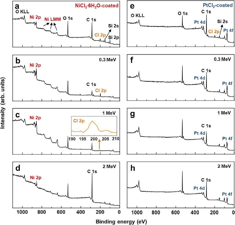 XPS survey spectra of (a– d) NiCl2·6H2O-coated and (e– h) PtCl2-coated MWCNTs as a function of Eirrad = 0.3, 1.0, and 2.0 MeV.