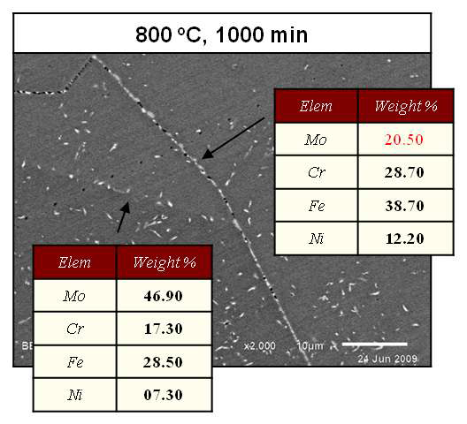 Fig. 3.5.24 Microstructure with σ and χ phase of S32050 STS steel after annealing at 800℃, 1000 min