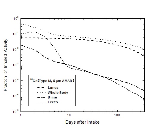 그림 2-2. 60Co(Type M, 5 μm AMAD)의 호흡섭취시 체내잔류분율 및 체외일일배설분율