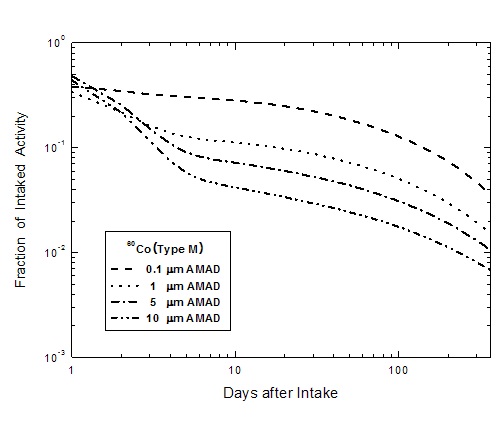 그림 2-4. 60Co(Type M, f1=0.1) 호흡섭취시 AMAD에 따른 전신잔류분율