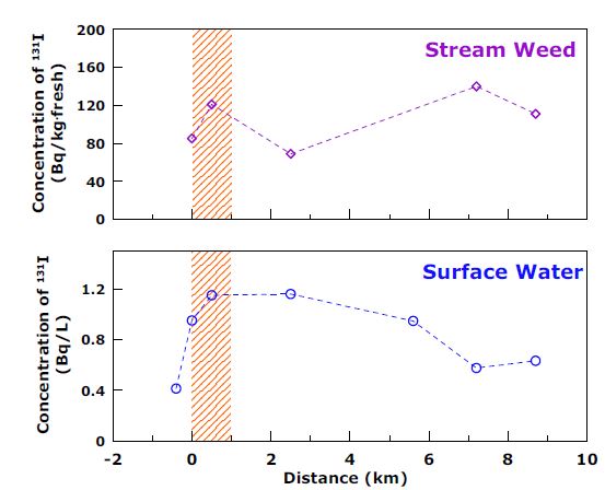 그림 113. 거리별 하천수와 수초 중 131I의 방사능 농도 분포