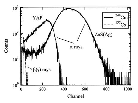 YAP와 ZnS(Ag) 분말로 관측된 알파와 베타(감마)선의 펄스 파고 분포.