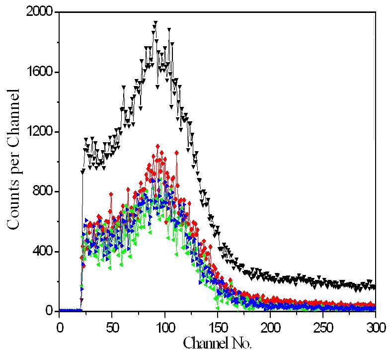 에폭시 소재 유기섬광체 센서의 베타선 측정 스펙트럼.