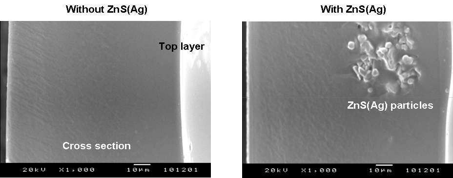 무기섬광체가 함침된 검출소재 단면의 SEM 이미지.