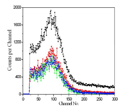 Fig. 3.1.31. 에폭시 소재 유기섬광체 센서의 베타선 측정 스펙트럼