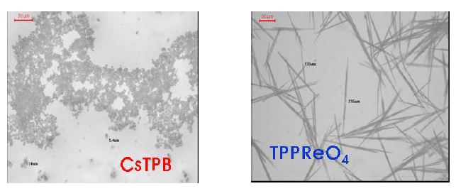 Fig. 3.4.28. NaTPB-Cs 및 TPPCl-Re 침전물의 Microscope 사진