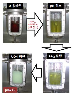 Fig. 3.4.84. COL test station에서 UO4 침전을 위한 pH 조절 과정과 용액 변화 사진.