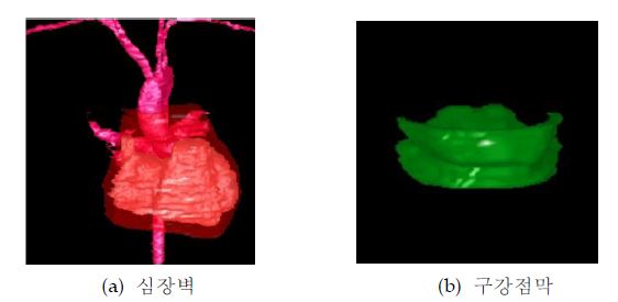 그림 3-1. 분할된 심장벽과 구강점막의 3차원 재구성 영상