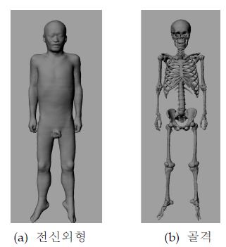 그림 3-6. 폴리곤(polygon) 모델로 변환된 HDRK-Man의 전신외형과 골격