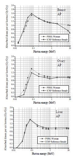 그림 3-31. HDRK-Woman과 ICRP 표준여성 팬텀의 주요장기 선량계산 결과비교