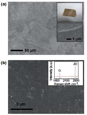 본 연구과제를 위해 성장된 그래핀의 SEM 및 Raman 이미지