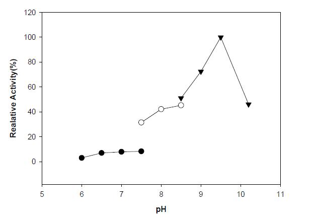 Effect of pH on HjLAD activity. The purified enzyme exhibited pH optima at 9.5. Each value represents the mean of triplicate measurements and varies from the mean by not more than 10%.