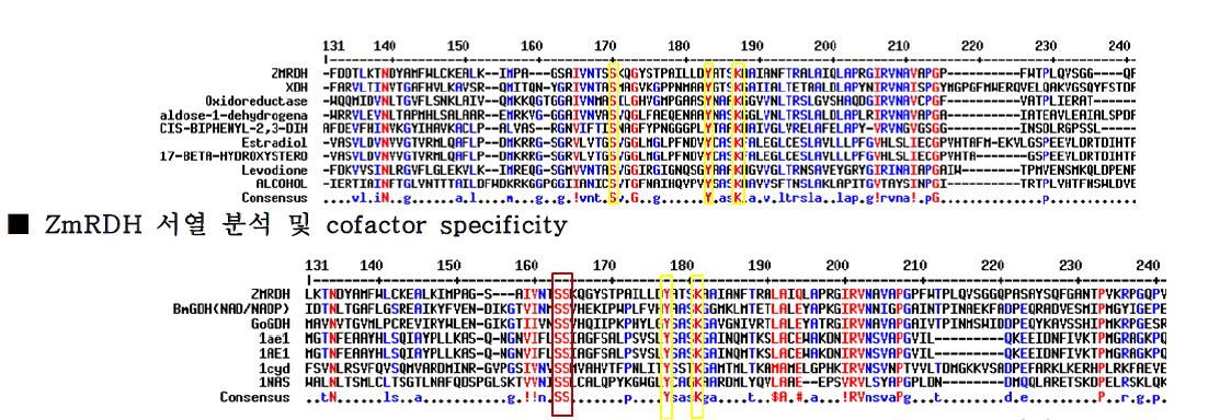 Multiple sequence alignment of the various SDRs including ZmRDH. (A) NAD-dependent SDR family. (B) NADP-dependent SDR family.