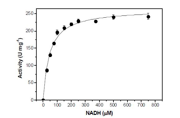 Effect of NADH concentrations on the activity of LrNOX.