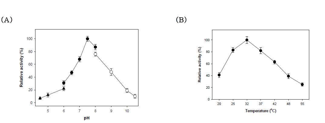 Effect of pH (A) and temperature (B) on BLAI activity towards L-arabinose (100 mM). The purified enzyme exhibited pH and temperature optima at 7.5 and 32oC, respectively. Each value represents the mean of triplicate measurements and varied from the mean by not more than 10%. 100 mM sodium acetate pH 4.5~6 (▼), 100mM potassium phosphate pH 6~8 (●), 100mM glycine pH 8~10.5 (○).