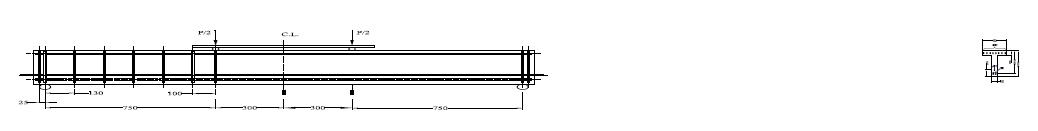 Details and cross section of test specimen