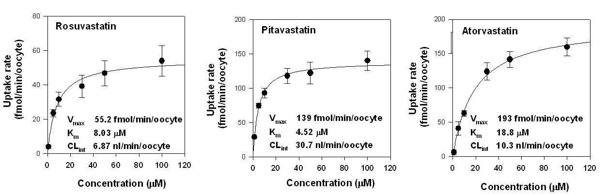 Concentration dependence of the uptake of rosuvastatin, pitavastatin, and atorvastatin in oocytes over-expressing OATP1B1-measured in a concentration range of 1 - 200 μM of each substrate.