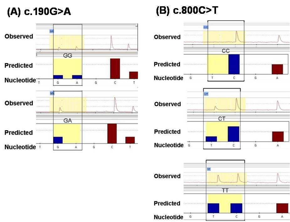 Determination of functional variants of NTCP, c.190G>A (A64T) and c.800C>T (S267F) by pyrosequencing. The expected and observed pyrograms for c.190G>A (A) and c.800C>T (B) variants are shown.