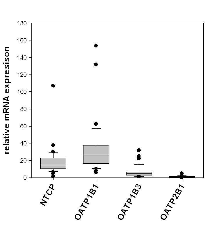 Relative mRNA level of NTCP, OATP1B1, OATP1B3, OATP2B1 in 32 livers of Korean origin