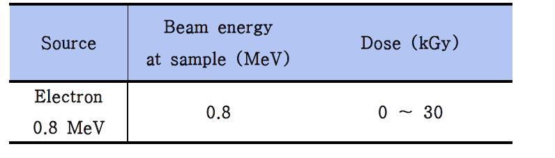 전자 빔 조사 조건