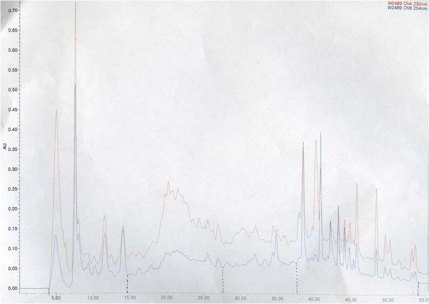 Dichloromethane에 의해 분획된 추출물의 HPLC 분석 결과