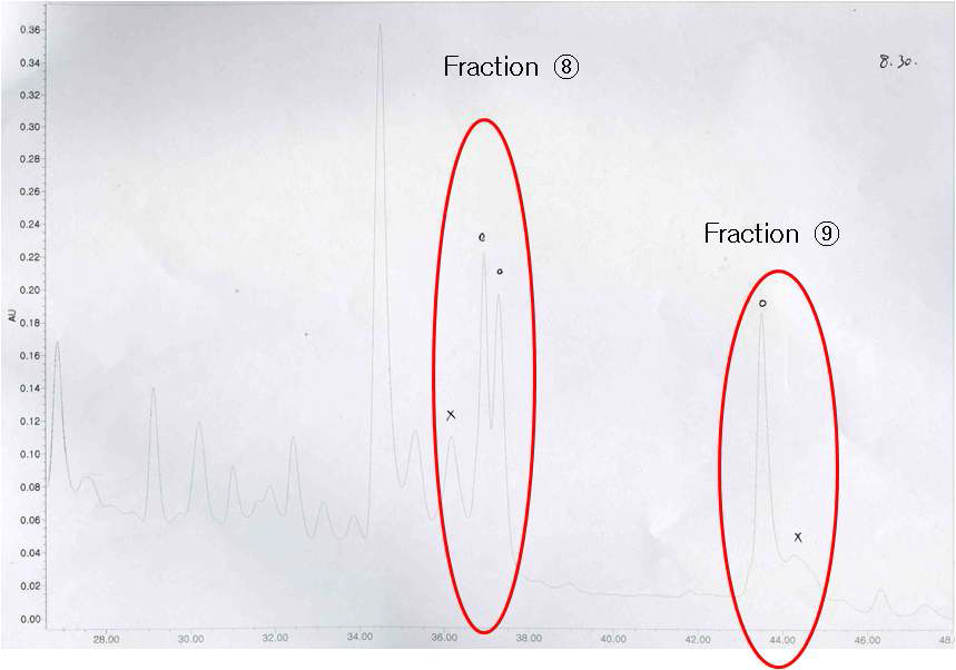 Open colume Method 의해 분획된 추출물의 HPLC 분석 결과