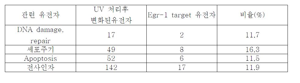 DNA microarray 결과 분석에서 Egr-1의 표적 유전자로 추정되는 유전자