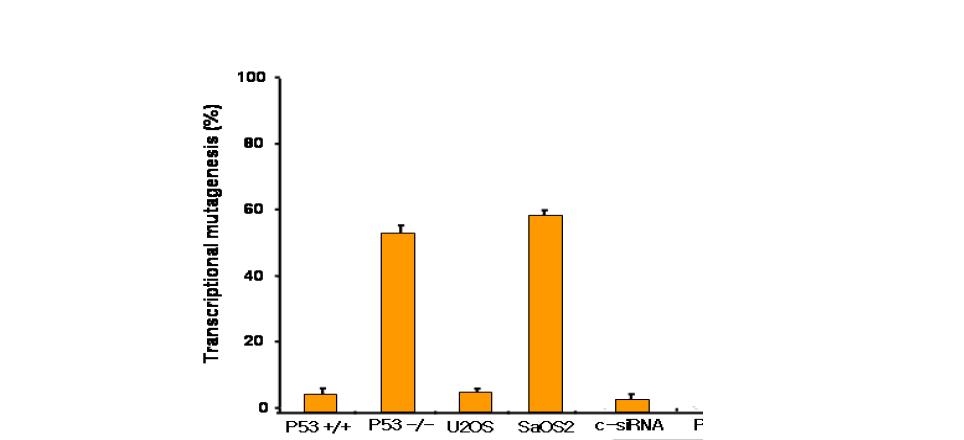 p53 RNA 돌연변이 억제에 관여하는PIG3