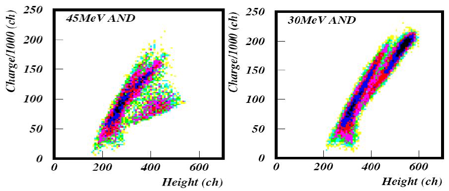 Pulse Shape Disitribution with Scintillator signal