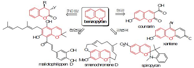 벤조피란구조의 카이랄, 천연물, 광변색, 형광 물질의 구조