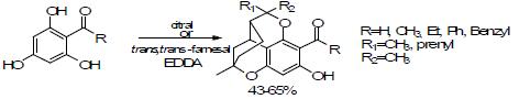 도미노 Aldol/Electrocyclization/H-Shift/Hetero Diels-Alder 반응을 통해 개발한 Tetracycle 구조 합성법