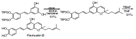 Pawhuskin B 천연물의 합성