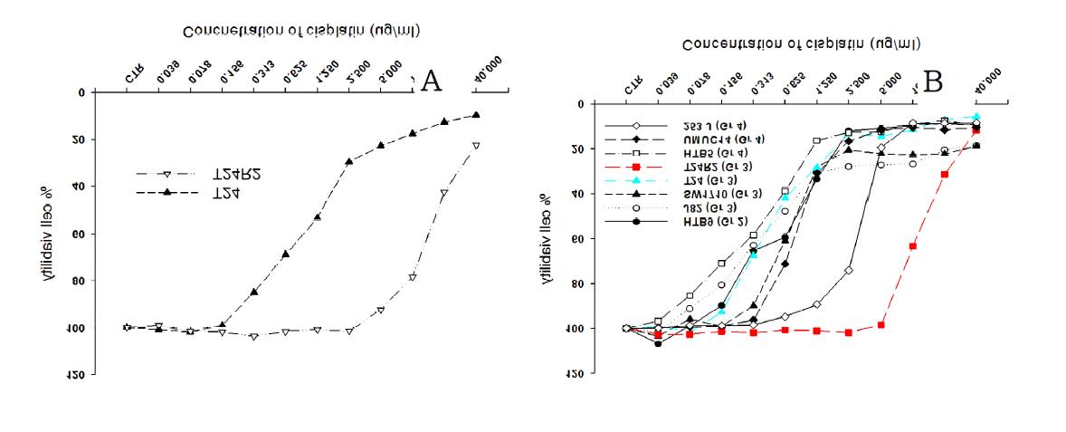 (A) T24 and T24R2 cells were treated with increasing dose of cisplatin (0.039 - 40.0uM) for 72 hours and cell viability was accessed by CCK-8 assay. T24R2 shows resistance to cisplatin up to 2ug/ml of cisplatin. (B) Cisplatin resistance of T24R2 was assessed in comparison of other human TCCs (HTB5 - grade 4 / HTB9 - grade 2 / J82 - grade 3 / SW1710 - grade 3 / UMUC14 - grade 4 / 253J - grade 4) by CCK-8 assay. T24R2 shows significantly higher resistance to cisplatin compared to other TCCs with various stage and differentiation.