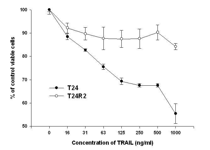 T24 and T24R2 cells were treated with increasing dose of TRAIL for 24h and cell viability was assessed by CCK-8 assay. TRAIL suppressed the proliferation of T24 in a dose-dependent manner while there was virtually no suppression of T24R2 proliferation by TRAILtreatment.