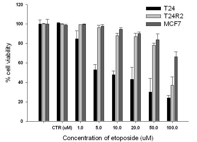 T24, T24R2, and MCF7 cells were treated with increasing dose of etoposide for 48h and cell viability was assessed by CCK-8 assay. T24R2 has nearly the same sensitivity to etoposide with MCF7 while T24 has higher sensitivity to etoposide compared with T24R2 and also MCF7.