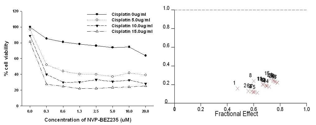 (A) T24R2 was treated with increasing dose of cisplatin alone or in combination with NVP-BEZ235 for 48h and cell viablity was assessed with CCK-8 assay. (B) Synergism between two drugs was determined based on combination index. Treatment of T24R2 cells with cisplatin or NVP-BEZ235 alone didn' t cause any suppression of cell growth while combined treatment showed significant synergistic anti-tumor effect.