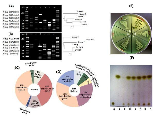Comparison of LABS of feces between diabetes and non-diabetes (ABCD).TLC chromatogram (F) and agar plate with 0.1% (w/v) EtFA assay (E) was used to detect isolates with cinnamoyl esterase activity. (a-b: standard; chlorogenic acid, caffeic acid, c: negative control: L.plantarum, d: F-16, e: F-34, f:F-46, g: F155, h: F-161)