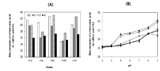 Effect of temperature (A) and pH (B) on CE activity.