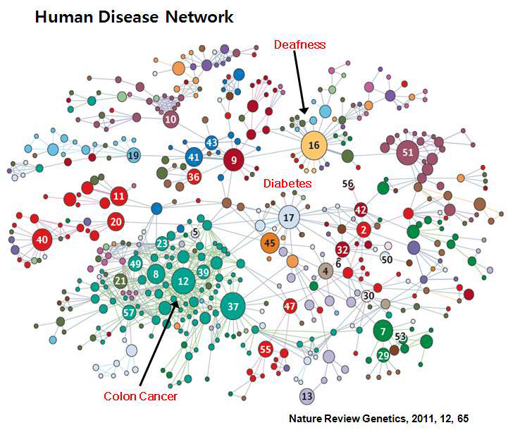 유전자 상관 네트워크와 질병