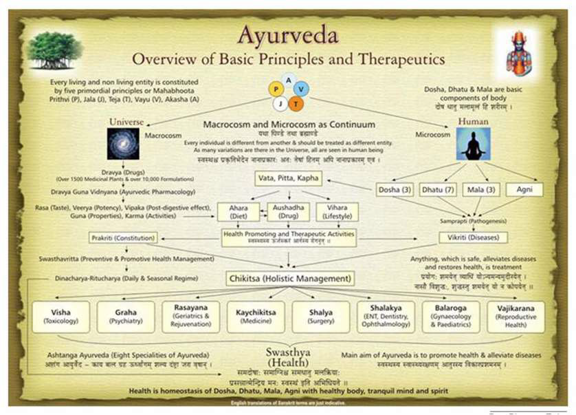 Overview of Basic Principles and Therapeutics of Ayurveda