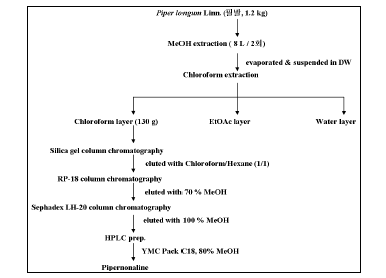 Isolation procedure of anticancer from Chloroform layer of Piper longum Linn.