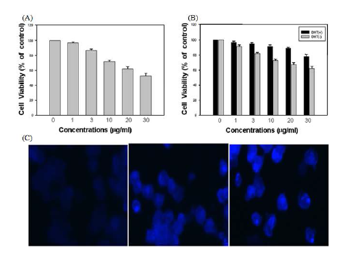 Cytotoxicity and apoptotic morphological pipernonaline in PC-3 cells and LNCaP c eclhlsa nge of (A) PC-3 cells, (B) LNCaP cells, (c) Morphological change