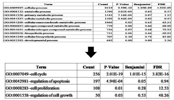 Ontological clustering of pipernonaline in PC-3 cells