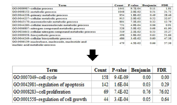 Ontological clustering of piplatine in PC-3 cells